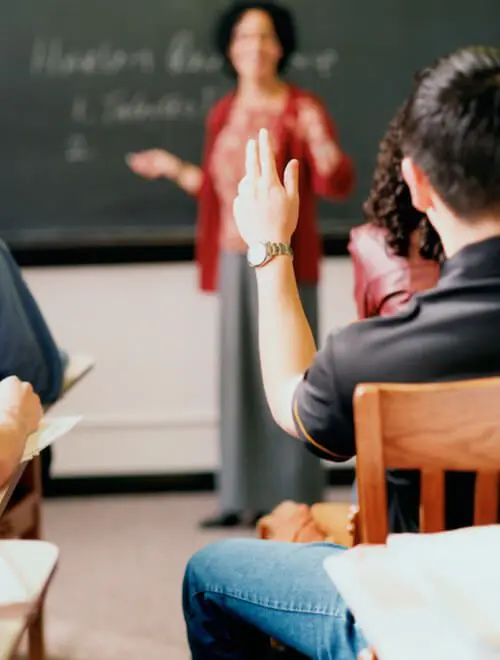 asesoría educación y pedagogías alternativas